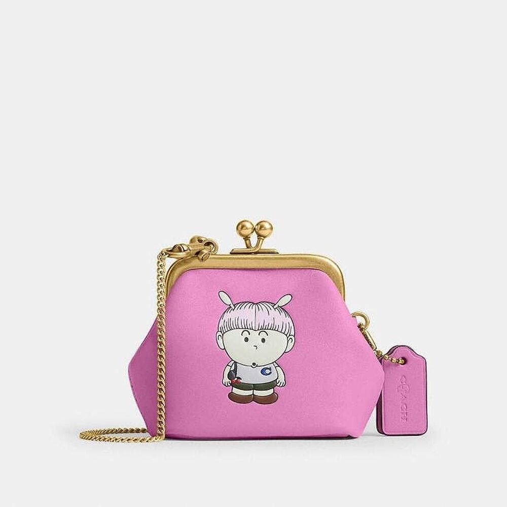 Coach Women's Pink and Purple Bag